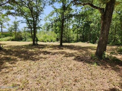 6+ Acres with Breathtaking Big Lake Views - Reduced Price! - photo 5