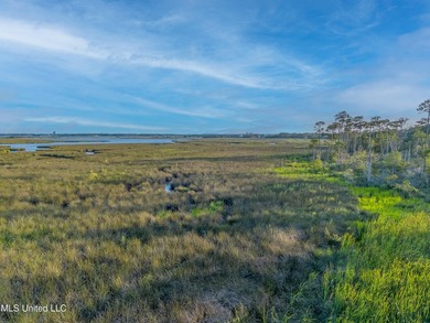 6+ Acres with Breathtaking Big Lake Views - Reduced Price! - photo 8