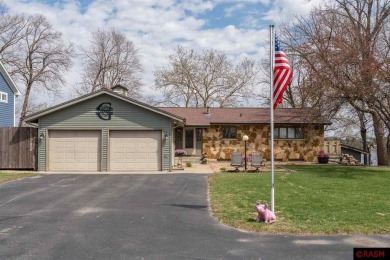 Lake Home For Sale in Madison Lake, Minnesota