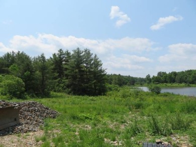 (private lake, pond, creek) Acreage For Sale in Hammond New York
