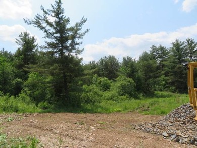 6.17 ACRES HAMMOND, ST LAWRENCE COUNTY, NY Build the cabin of - photo 2