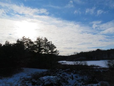 6.17 ACRES HAMMOND, ST LAWRENCE COUNTY, NY Build the cabin of - photo 3
