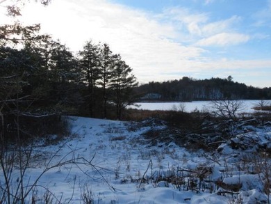 6.17 ACRES HAMMOND, ST LAWRENCE COUNTY, NY Build the cabin of - photo 4