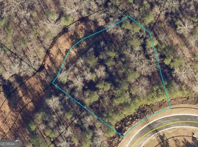 Lake Lot For Sale in Toccoa, Georgia