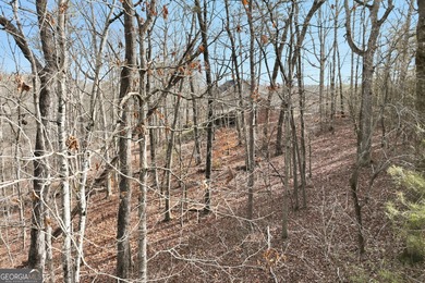 Opportunities like this are becoming incredibly rare on Lake - photo 26