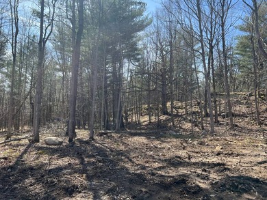 Black Lake - St. Lawrence County Acreage For Sale in Hammond New York