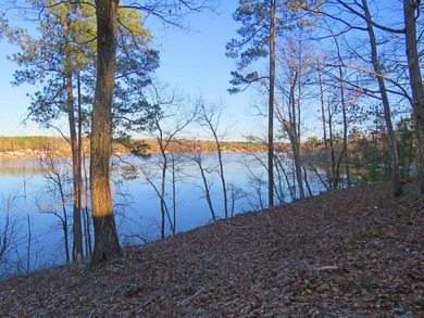 Lake Greenwood Lot For Sale in Hodges South Carolina