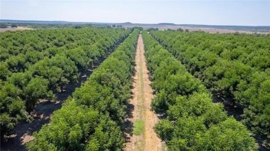 Lake Acreage For Sale in San Saba, Texas