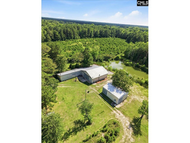 A hidden gem! This 19+ acres across two parcels sold as one! - photo 3