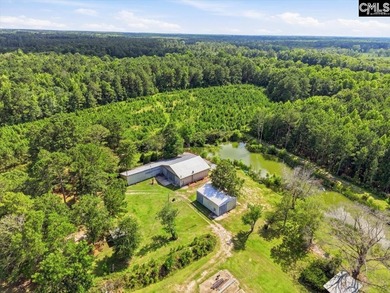 A hidden gem! This 19+ acres across two parcels sold as one! - photo 6