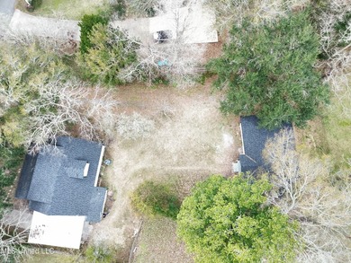 Rare Dual-Residence Gem: Two Fully Remodeled Homes on One Lot! - photo 4