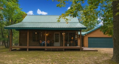 Lake Home For Sale in Atlanta, Michigan