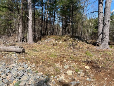 8.49 ACRES HAMMOND, ST LAWRENCE COUNTY, NY Over 490 feet of - photo 2