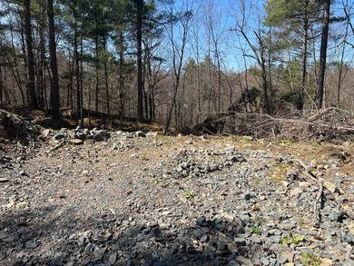 8.49 ACRES HAMMOND, ST LAWRENCE COUNTY, NY Over 490 feet of - photo 3