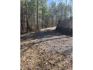 8.49 ACRES HAMMOND, ST LAWRENCE COUNTY, NY Over 490 feet of - photo 4