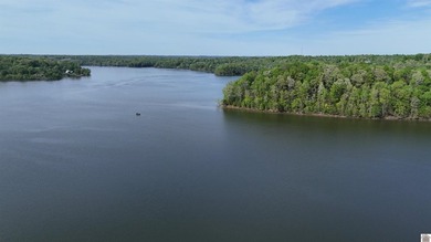 Incredible investment opportunity on Lake Barkley! Two adjoining - photo 8
