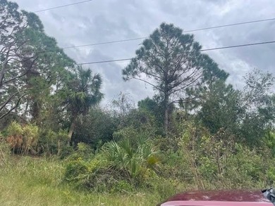 Northport Waterway Lakes and Canals Lot For Sale in North Port Florida