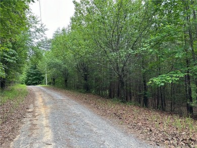 (private lake, pond, creek) Lot For Sale in Ranger Georgia