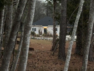 (private lake, pond, coastal) Home For Sale in Greenwood South Carolina