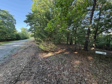 Rare Opportunity - 6.55 Acres in Webbs Landing Subdivision - photo 11