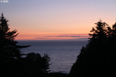 Ocean View Acreage!!! Charming two-bedroom, one-bath artist - photo 21