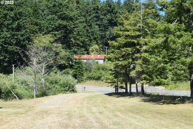 Ocean View Acreage!!! Charming two-bedroom, one-bath artist - photo 40