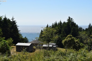 Ocean View Acreage!!! Charming two-bedroom, one-bath artist - photo 42