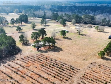 This exceptional 40+/- acre tract in Southwest Mississippi - photo 3