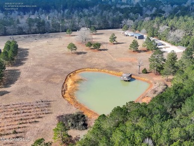 This exceptional 40+/- acre tract in Southwest Mississippi - photo 4