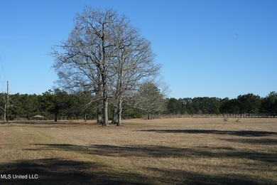 This exceptional 40+/- acre tract in Southwest Mississippi - photo 6