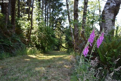 Ocean View Acreage!!! Charming two-bedroom, one-bath artist - photo 46