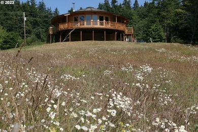 Ocean View Acreage!!! Charming two-bedroom, one-bath artist - photo 48