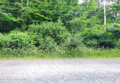 Mill Pond Lot For Sale in Bushkill Pennsylvania