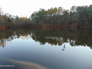 (private lake, pond, coastal) Acreage For Sale in Brookhaven Mississippi