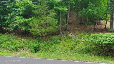 Mill Pond Lot For Sale in Bushkill Pennsylvania