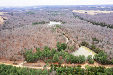 118 Heavily Wooded Acres M/L - Lake Acreage For Sale in Salem, Arkansas