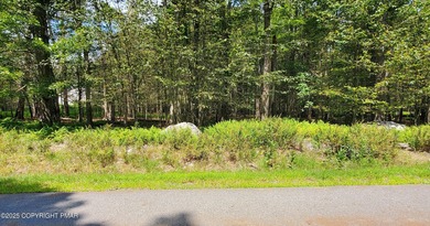 Larsen Lake Lot For Sale in Clifton Pennsylvania