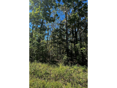 Lake Lot For Sale in Gaylord, Michigan