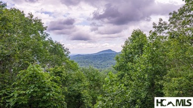 This generous 5.85-acre estate comprises two adjoining lots (7 & - photo 11