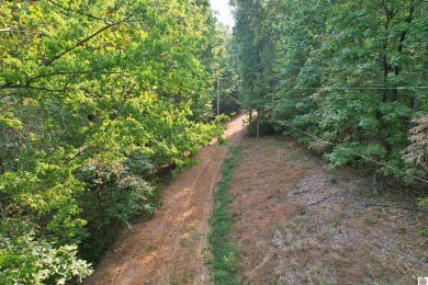 Waterfront lot on Kentucky Lake near Moors Resort, Kentucky Dam - photo 11