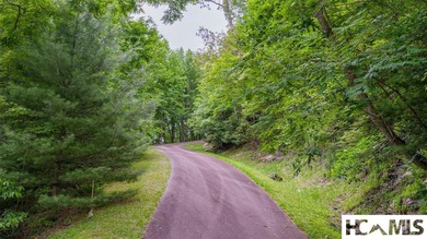 This generous 5.85-acre estate comprises two adjoining lots (7 & - photo 17