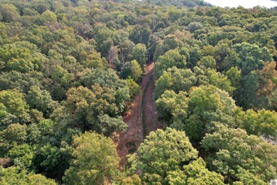 Waterfront lot on Kentucky Lake near Moors Resort, Kentucky Dam - photo 21