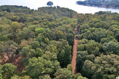 Waterfront lot on Kentucky Lake near Moors Resort, Kentucky Dam - photo 25