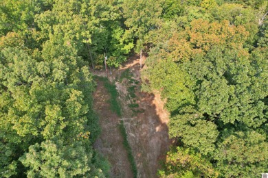Waterfront lot on Kentucky Lake near Moors Resort, Kentucky Dam - photo 28
