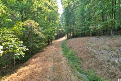 Waterfront lot on Kentucky Lake near Moors Resort, Kentucky Dam - photo 29