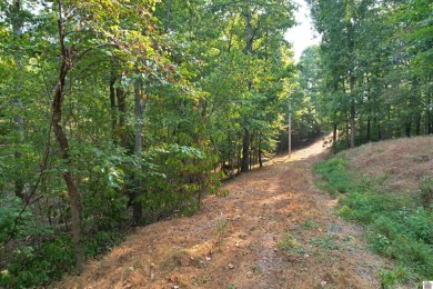 Waterfront lot on Kentucky Lake near Moors Resort, Kentucky Dam - photo 30