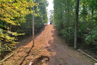 Waterfront lot on Kentucky Lake near Moors Resort, Kentucky Dam - photo 31