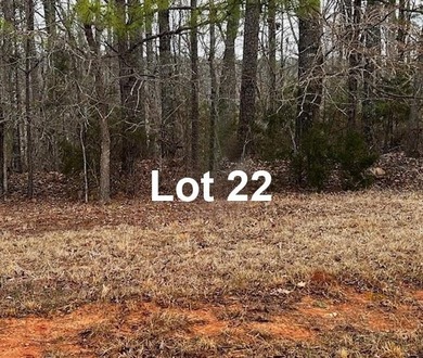 Get back to nature with this spacious 1.6-acre wooded DOCKABLE - photo 2