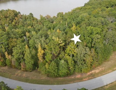 Get back to nature with this spacious 1.6-acre wooded DOCKABLE - photo 5