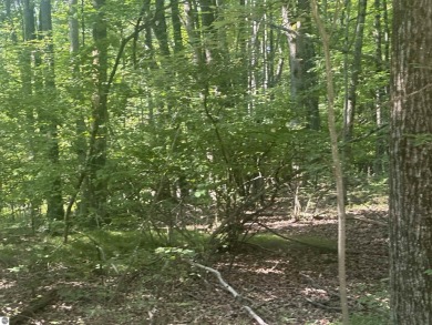 (private lake, pond, creek) Lot For Sale in Farwell Michigan